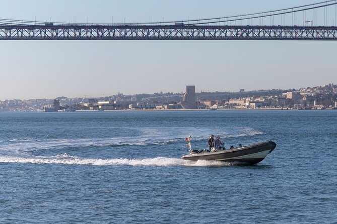 Lisbon: Dolphin Watching with a Marine Biologist - Ocean Safari - The Ride Itself: Seats, Viewing, and Motion