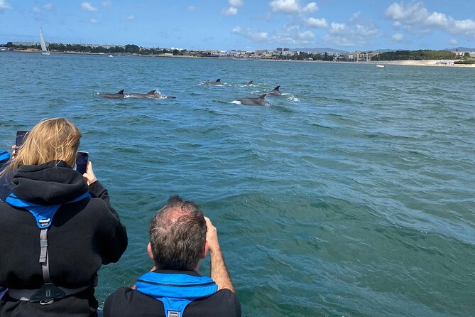 Lisbon: Dolphin Watching with Marine Biologist - Small Group - The 3-hour dolphin hunt, led by marine biologists on a mission