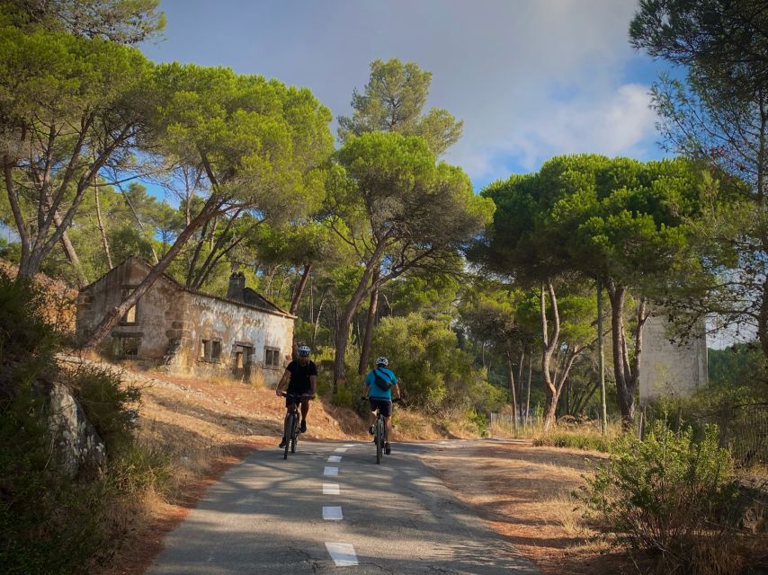 Lisbon: E-bike Trip from the Sintra Mountains to Cascais Sea - From Hotel Pickup to Cascais Market, Then You’re Riding