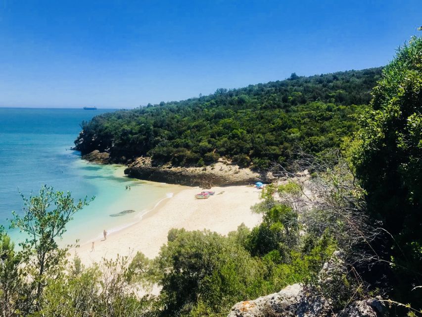 Lisbon: Full-Day Arrabida Kayak Tour with Picnic - Key things I’d bookmark before you go
