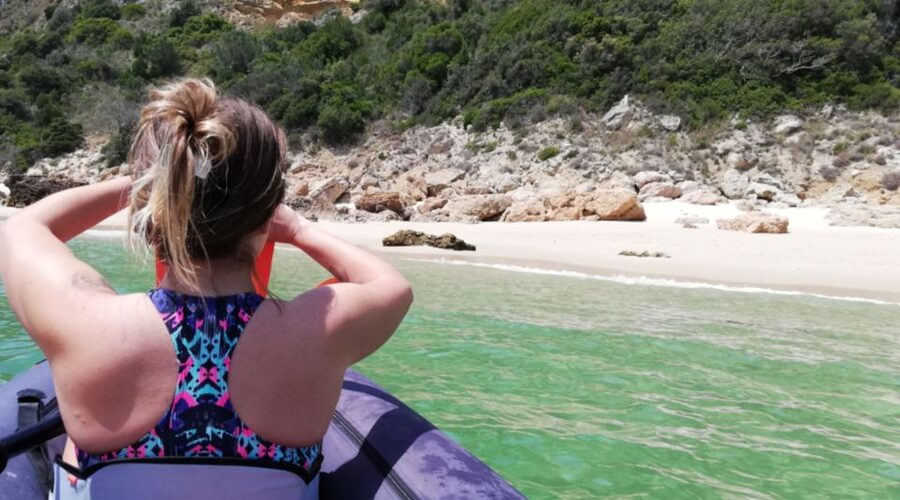Lisbon: Full-Day Kayak Tour with Picnic and Transfer - Snorkeling with masks provided, without making it complicated
