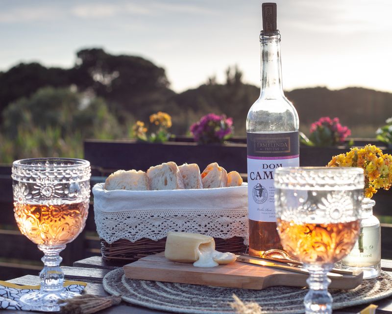 Lisbon Getaway: Private Arrábida Wine & Food Tour - Arrábida Natural Park viewpoints: quick stops with big payoffs