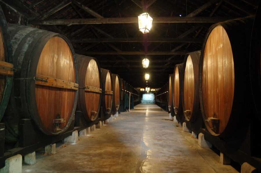 Lisbon Getaway: Private Arrábida Wine & Food Tour - José Maria da Fonseca: museum stop plus Moscatel de Setúbal tastings