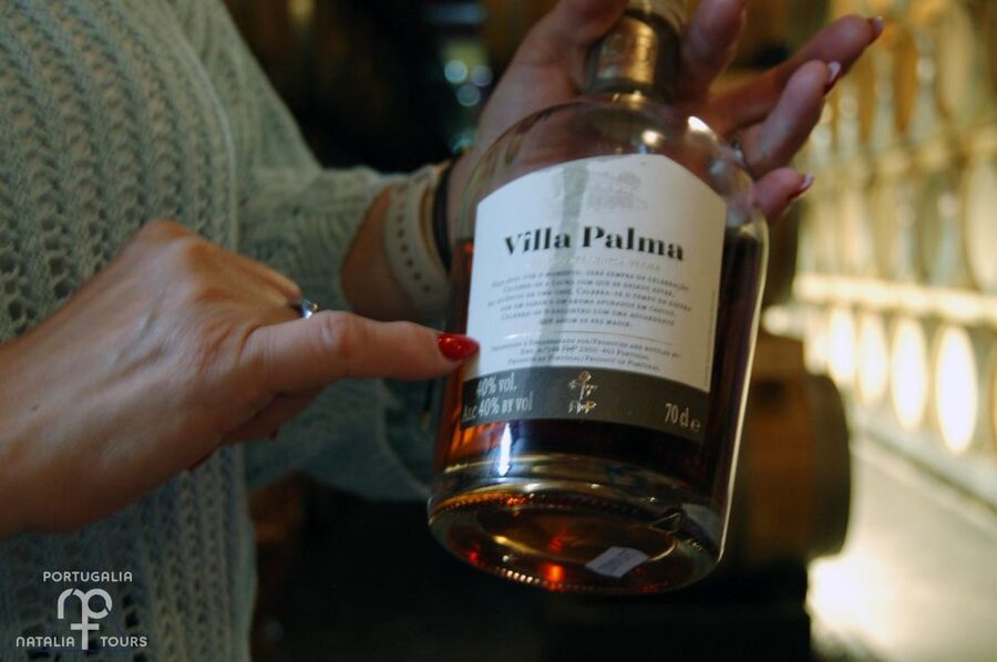 Lisbon Getaway: Private Arrábida Wine & Food Tour - Sesimbra castle area and seaside time to wander