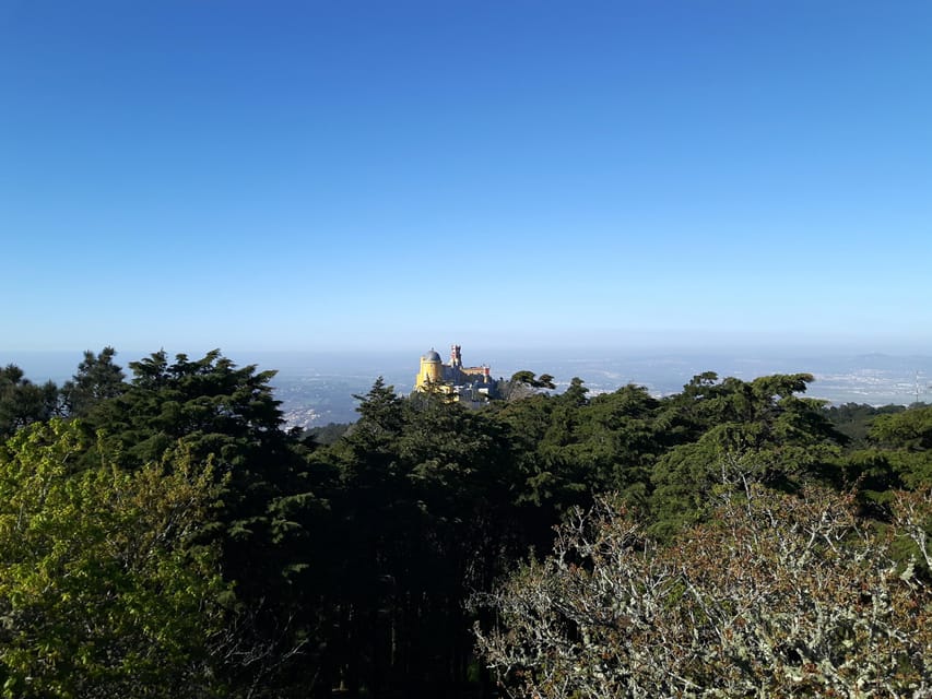 Lisbon: Half-Day Sintra Tour with Pena Palace and Regaleira - Should You Book This Lisbon to Sintra Half-Day Tour?