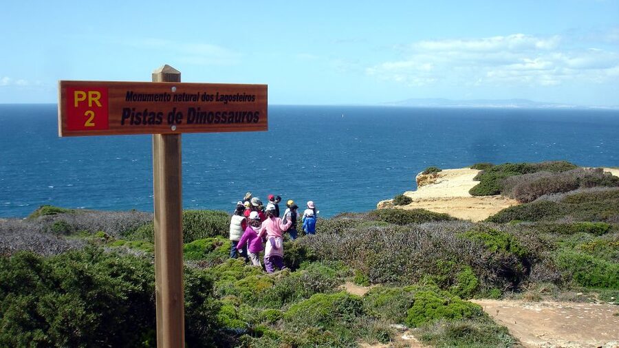 Lisbon: Hiking in Arrábida Natural Park - What you will see: biodiversity, geology, flowers, and coast angles