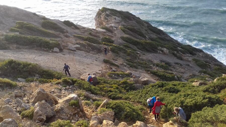Lisbon: Hiking in Arrábida Natural Park - Who this hiking tour suits best