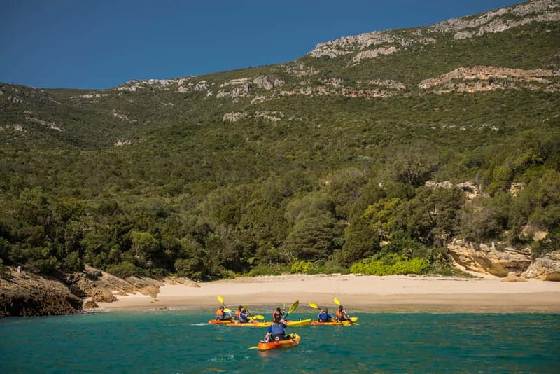 Lisbon: Kayak Tour Arrábida Natural Park, Setubal, Sesimbra - Anicha Island: The Marine Wildlife Stop That Changes the Whole Trip