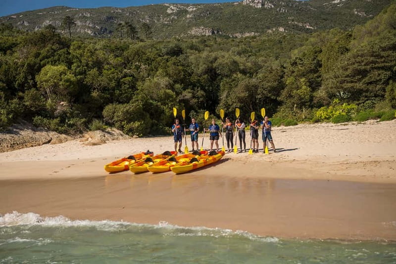 Lisbon: Kayak Tour Arrábida Natural Park, Setubal, Sesimbra - Safety and Comfort: Wetsuits, Life Jackets, and a Backup Boat