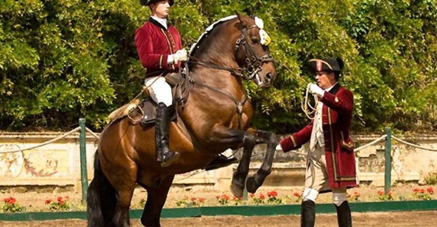 Lisbon: Morning of Equestrian Art with Lusitano Horses - Where You Go, What You See: The Portuguese School in Morning Form