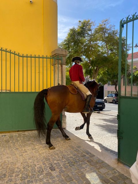 Lisbon: Morning of Equestrian Art with Lusitano Horses - How Lusitano Training Feels Different From a Typical Stable Visit
