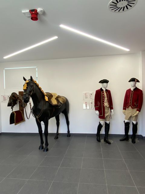 Lisbon: Morning of Equestrian Art with Lusitano Horses - Price and Value: Is $17 Worth It?