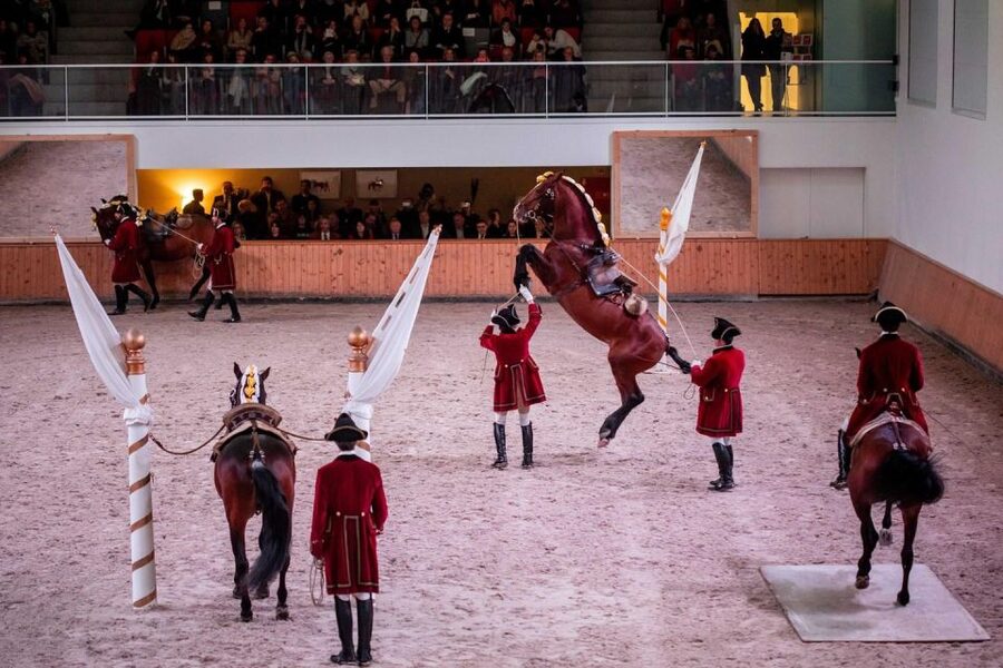 Lisbon: Morning of Equestrian Art with Lusitano Horses - Entry, Ticket, and the One Rule That Saves You Headaches