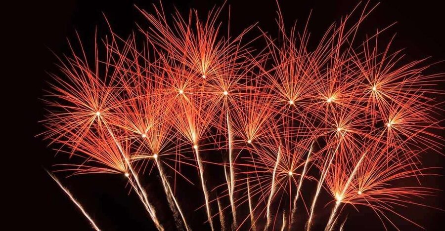 Lisbon: New Year's Eve Tagus River Cruise with Open Bar - Who this cruise is best for