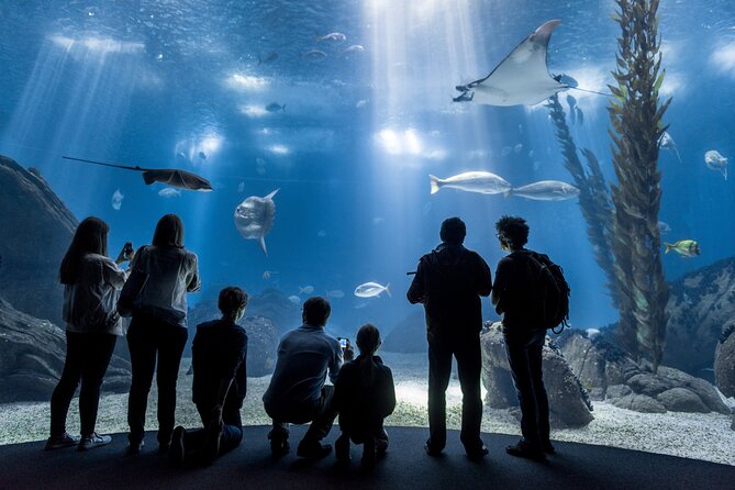 Lisbon Oceanario: Aquarium Entrance Ticket - Key highlights to notice before you go