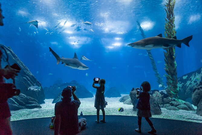 Lisbon Oceanario: Aquarium Entrance Ticket - The main hall: the 5-million-liter aquarium and four ocean zones