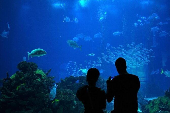 Lisbon Oceanario: Aquarium Entrance Ticket - Two levels of viewing, plus how the design shapes your visit