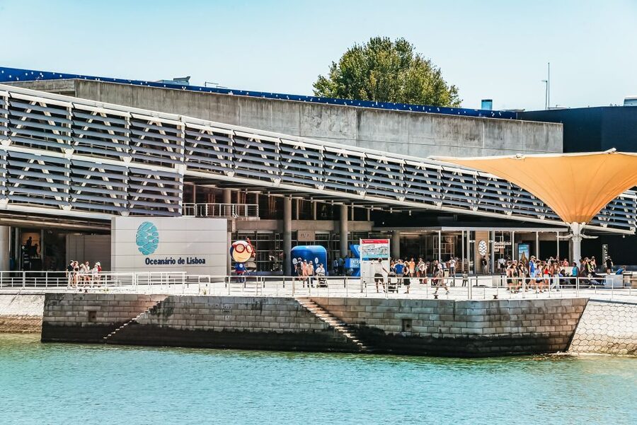 Lisbon: Oceanário de Lisboa Entrance Ticket - Your 1-day game plan: how to pace the aquarium for maximum enjoyment