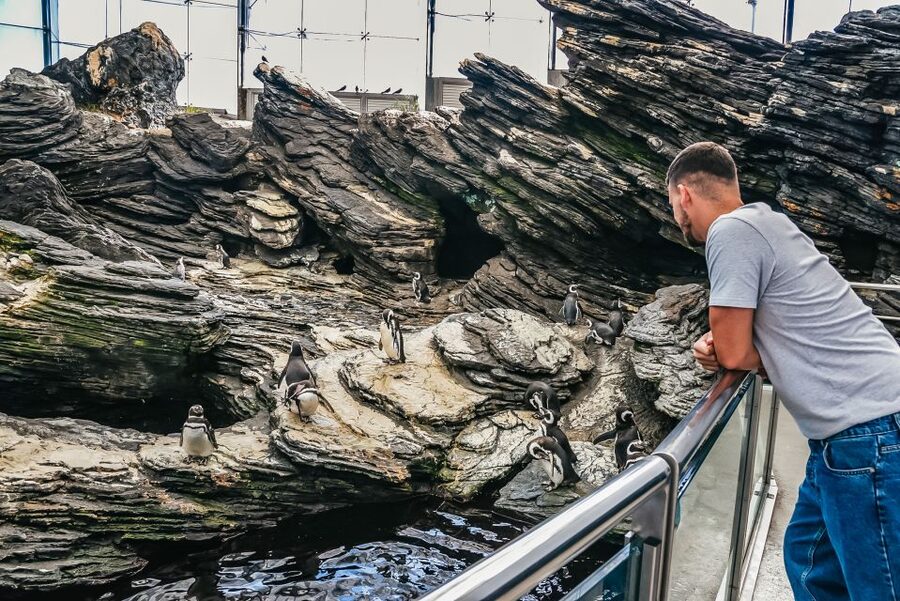 Lisbon: Oceanário de Lisboa Entrance Ticket - Food, shopping, and what to do when you need a break