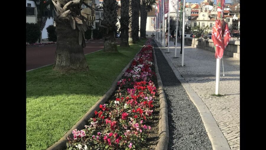 Lisbon: Pena Palace, Sintra, Cascais, and Cabo Roca Day Trip - Sintra on your own time: cobblestones, snacks, and the best kind of shopping break