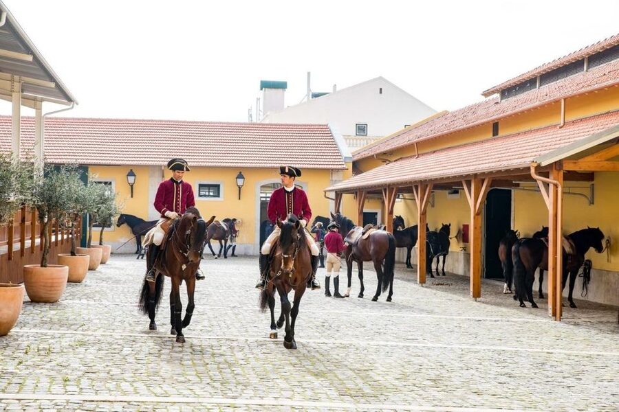 Lisbon: Portuguese Riding School Trainig with Lusitano Horse - Lusitano warm-ups at Henrique Calado Riding Ring, what you actually watch