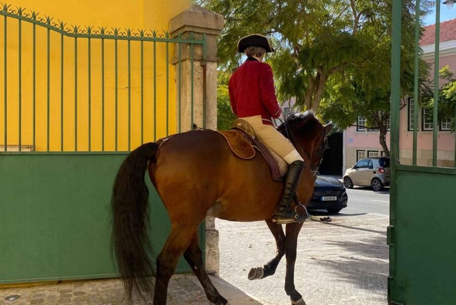 Lisbon: Portuguese Riding School Trainig with Lusitano Horse - Equestrian Art rehearsals in period costume, Nora Patio brings it to life