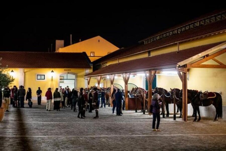 Lisbon: Portuguese Riding School Trainig with Lusitano Horse - Your audio guide does the heavy lifting, if you use it right