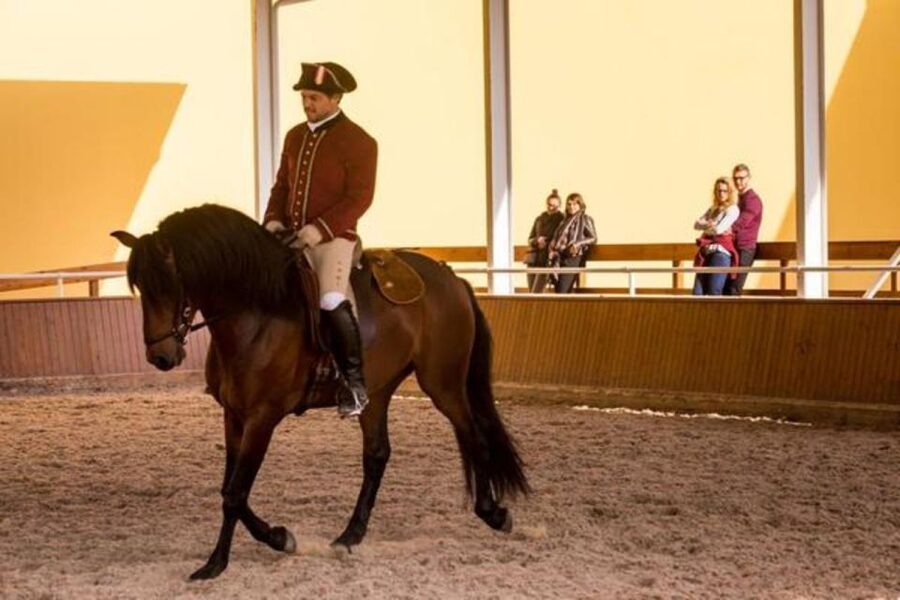 Lisbon: Portuguese Riding School Trainig with Lusitano Horse - Timing in Lisbon, best slot and how to make the morning work