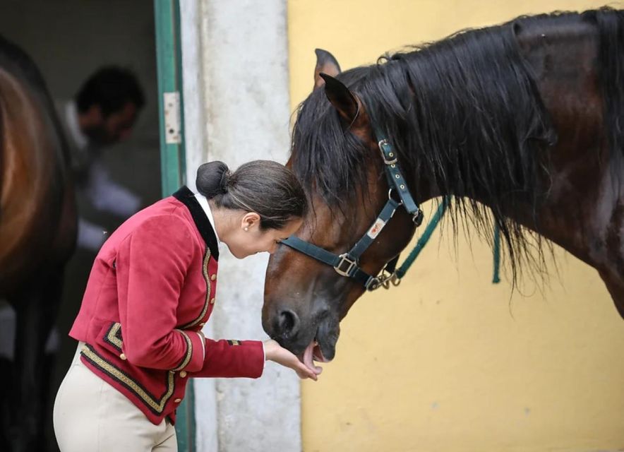 Lisbon: Portuguese Riding School Trainig with Lusitano Horse - Who this training visit is best for (and who should skip it)