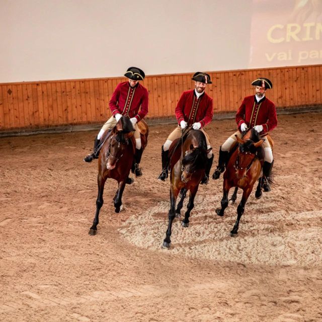 Lisbon: Portuguese Riding School Trainig with Lusitano Horse - The stable reality, how handlers care for the horses