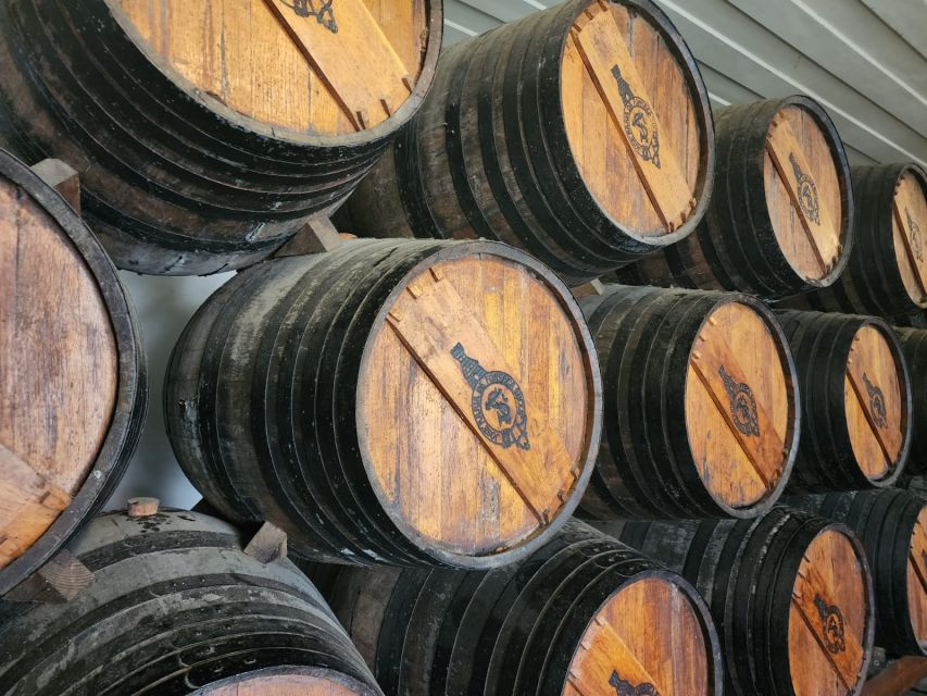 Lisbon: Private All Inclusive Setúbal & Arrábida Wine Tour - Key things that make this tour worth your time