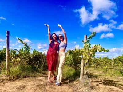 Private All Inclusive Setúbal & Arrábida Wine Tour
