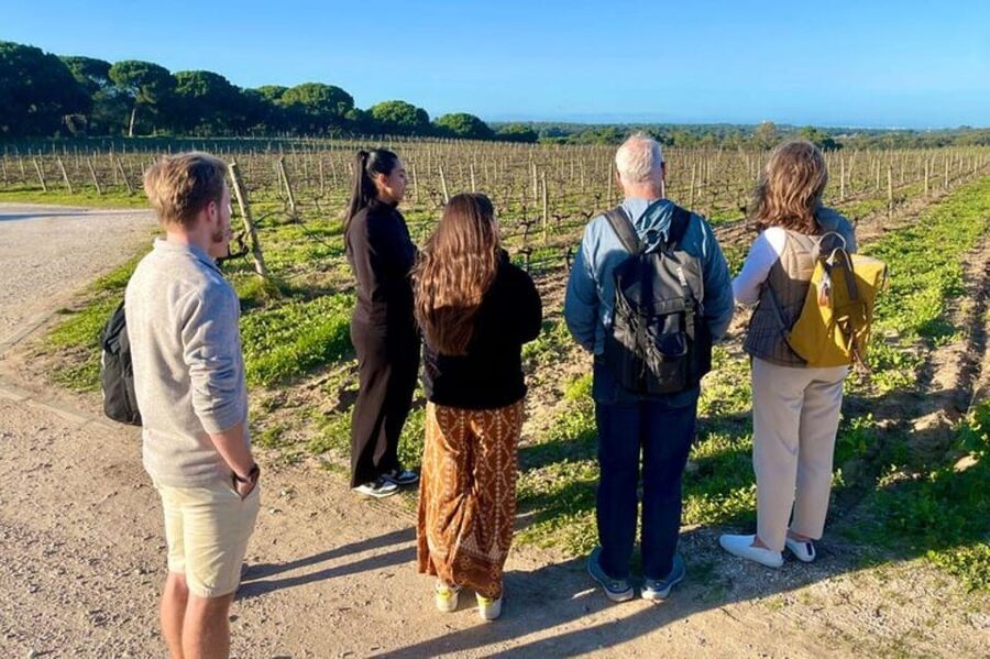 Lisbon: Private All Inclusive Setúbal & Arrábida Wine Tour - Sesimbra Castle, Cristo Rei, and the 25 de Abril Bridge finish