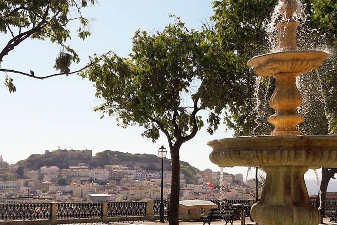 Lisbon Private And Customizable Half-Day Tour - Why This Half-Day Lisbon Tour Fits Real Schedules