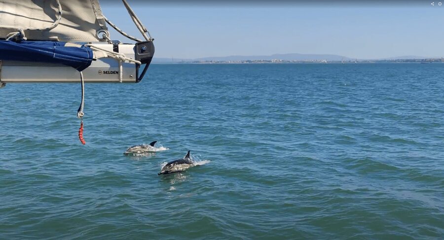 Lisbon: Private Boutique Boat Tour – Sail in Style - From HYPAFAMILY to the water: what to know before you go