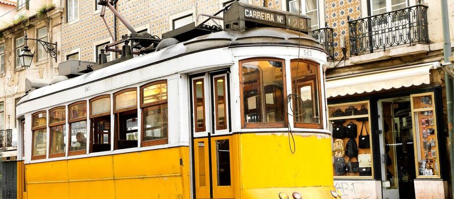 Lisbon: Private Full Day City Tour - Miradouro da Senhora do Monte: A Photo Stop Worth Getting Up For