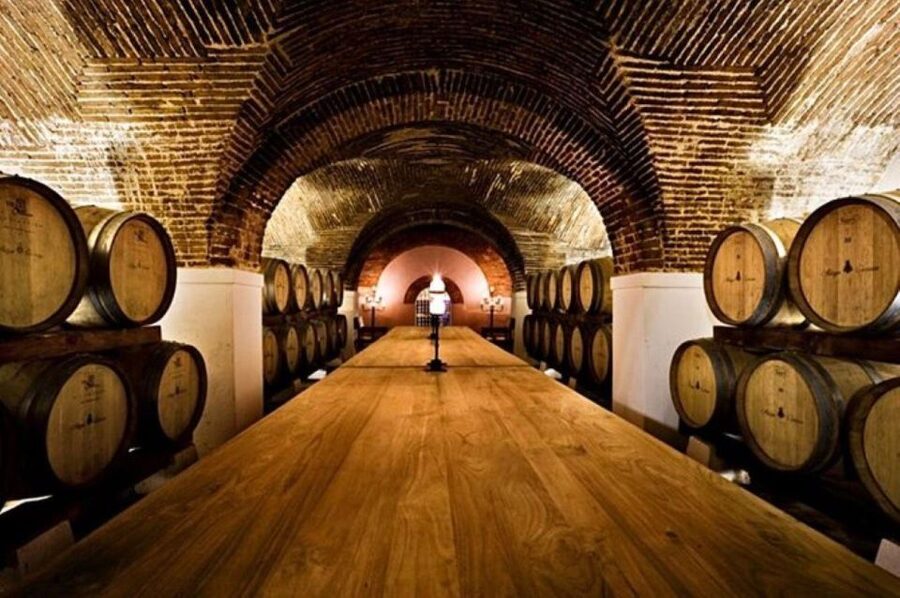 Lisbon: Private Full Day Evora & Alentejo Wine Tour - Price and logistics: what $351 per person really buys you