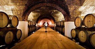 Private Full Day Evora & Alentejo Wine Tour