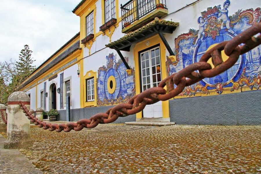 Lisbon: Private Full-Day Wine Tasting Tour in a premium car - First winery stop in Azeitão: guided tasting time that sets the tone