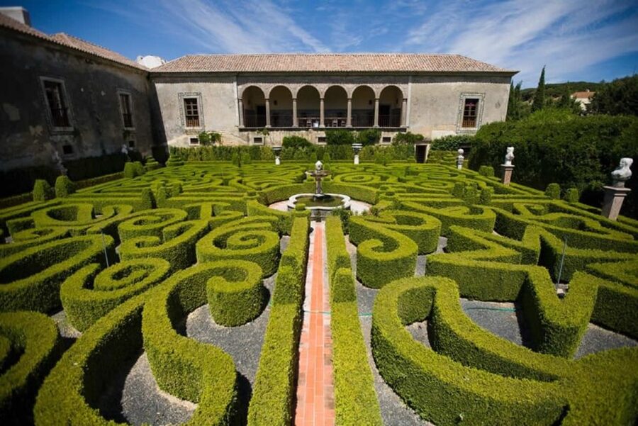 Lisbon: Private Full-Day Wine Tasting Tour in a premium car - Second winery stop: a tighter 1-hour visit with 3 wines