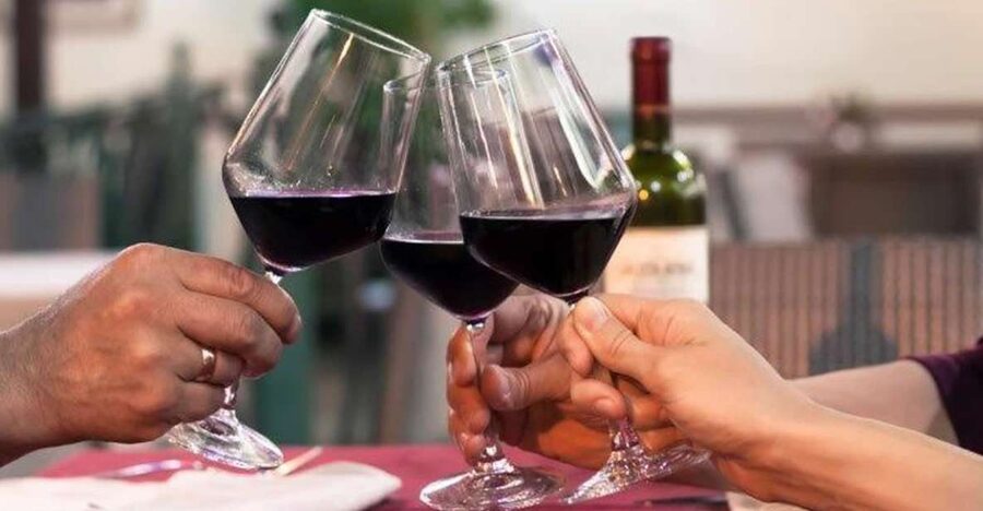 Lisbon: Private Full-Day Wine Tasting Tour in a premium car - Practical tips for a smooth wine day in Azeitão