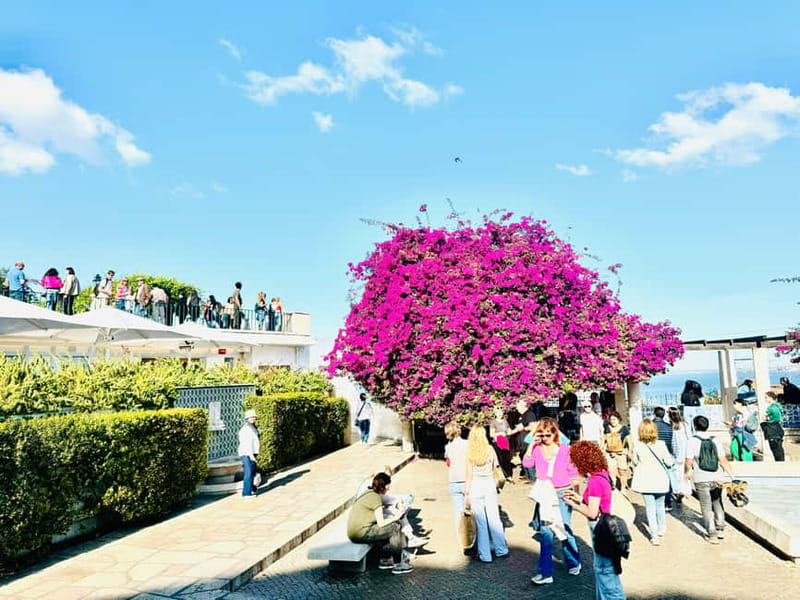 Lisbon: Private Old Town Tuk Tuk Tour - Miradouro de Santa Luzia: One of Lisbon’s Classic Lookouts