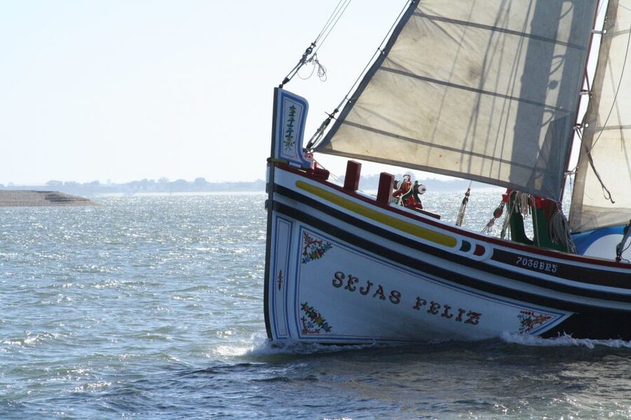 Lisbon: River Tagus Sightseeing Cruise in Traditional Vessel - Comfort, Weather, and How to Get Better Photos