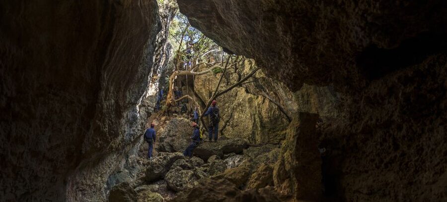 Lisbon: Setubal Arrábida Natural Park Adventure Circuit - The 4-hour flow: van ride, the circuit start, obstacles, then debrief
