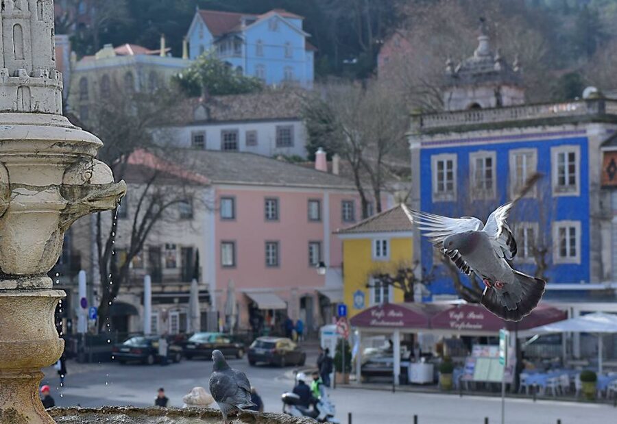 Lisbon: Sintra, Pena Palace, Quinta Regaleira, Cascais Tour - Pickup, van time, and how to start the day smoothly