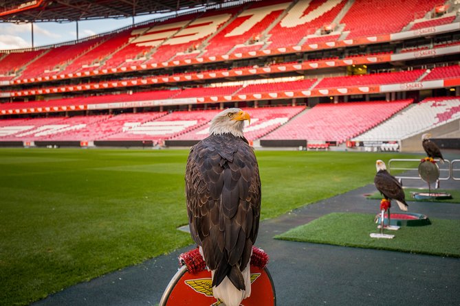Lisbon SL Benfica Stadium & Museum Tour with Scarf - The VR-style stadium experience and those 3-D glasses moments