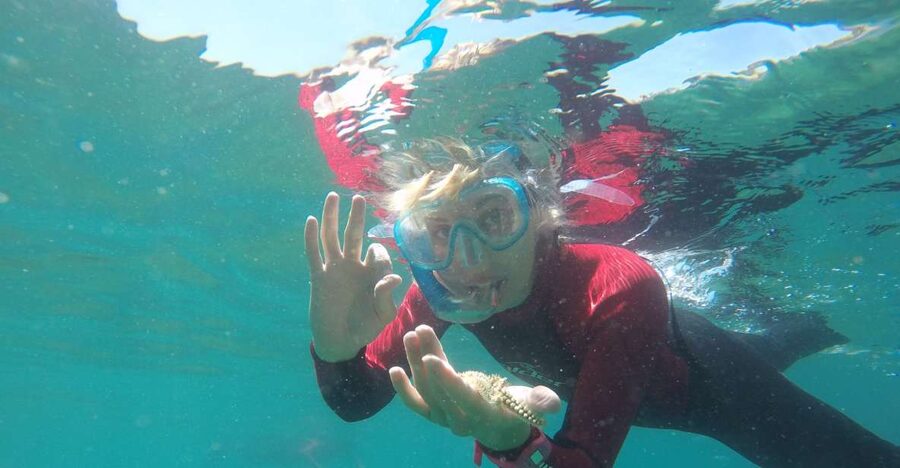 Lisbon: Snorkelling in Sesimbra/Arrábida Natural Park - Key things that make this snorkeling trip worth your time