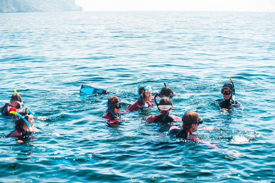 Lisbon: Snorkelling in Sesimbra/Arrábida Natural Park - Price and value: what $70 is really buying
