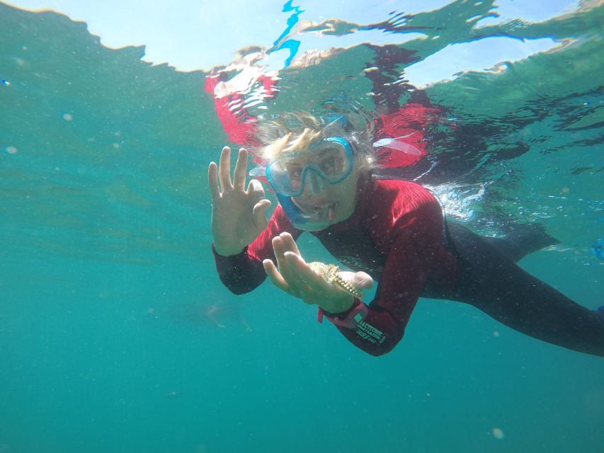 Lisbon: Snorkelling in Sesimbra/Arrábida Natural Park - Snorkeling in Sesimbra and Arrábida: Why this protected coastline works