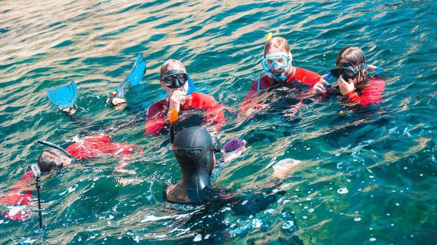 Lisbon: Snorkelling in Sesimbra/Arrábida Natural Park - Calm water plus a safety-first guide: the real difference-maker